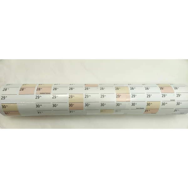 Magnetyczny suchościeralny planer A1 2026