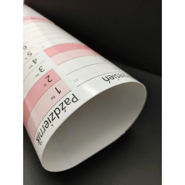 Planer ścienny A1 zmazywalny kalendarz 2026 84x59cm