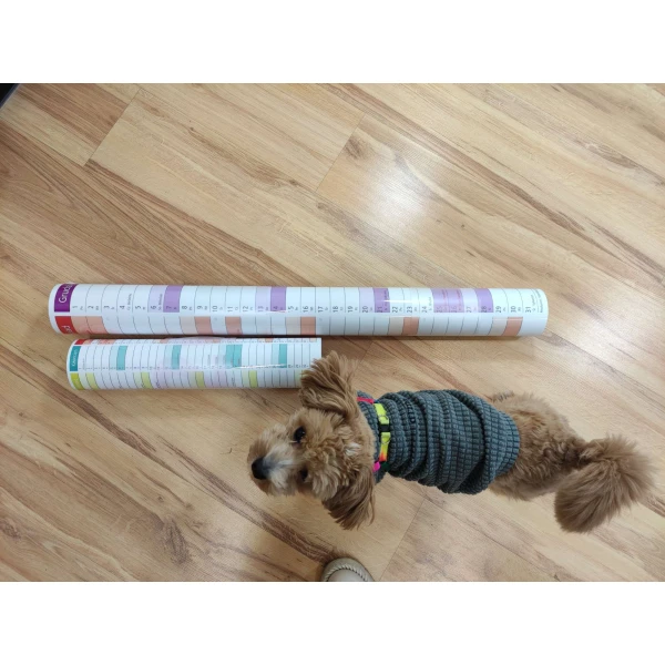 Czy Ty także sprawdziłeś czy wybrałeś właściwy format planera? :)