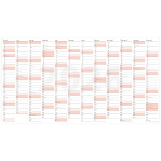 Mega planer na rok 2026 190x102cm suchościeralny 